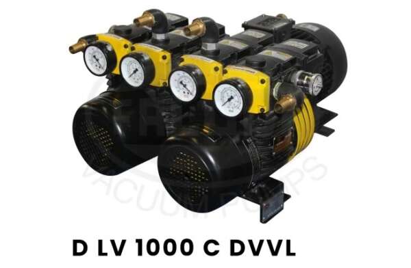 Dry Vacuum Pressure Pump D LV 1000 C DVVL