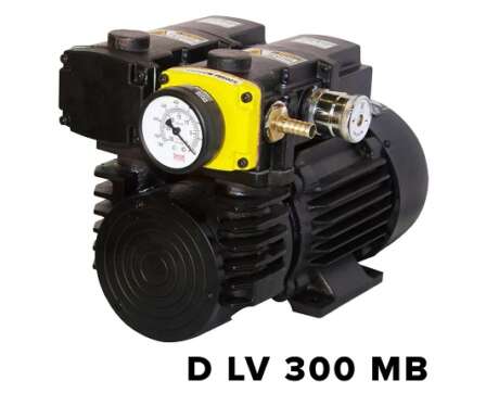 Dry Vacuum Pump ( Monoblock) D LVV 300 MB